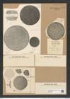 Aulacodiscus argus (Ehr.) A. Schm. (de-Toni-Nr.: Genus 182, Species 4557) Zeichnungen Sammlung Grunow Nr. 8170 (NHMW-BOT-W0377540)